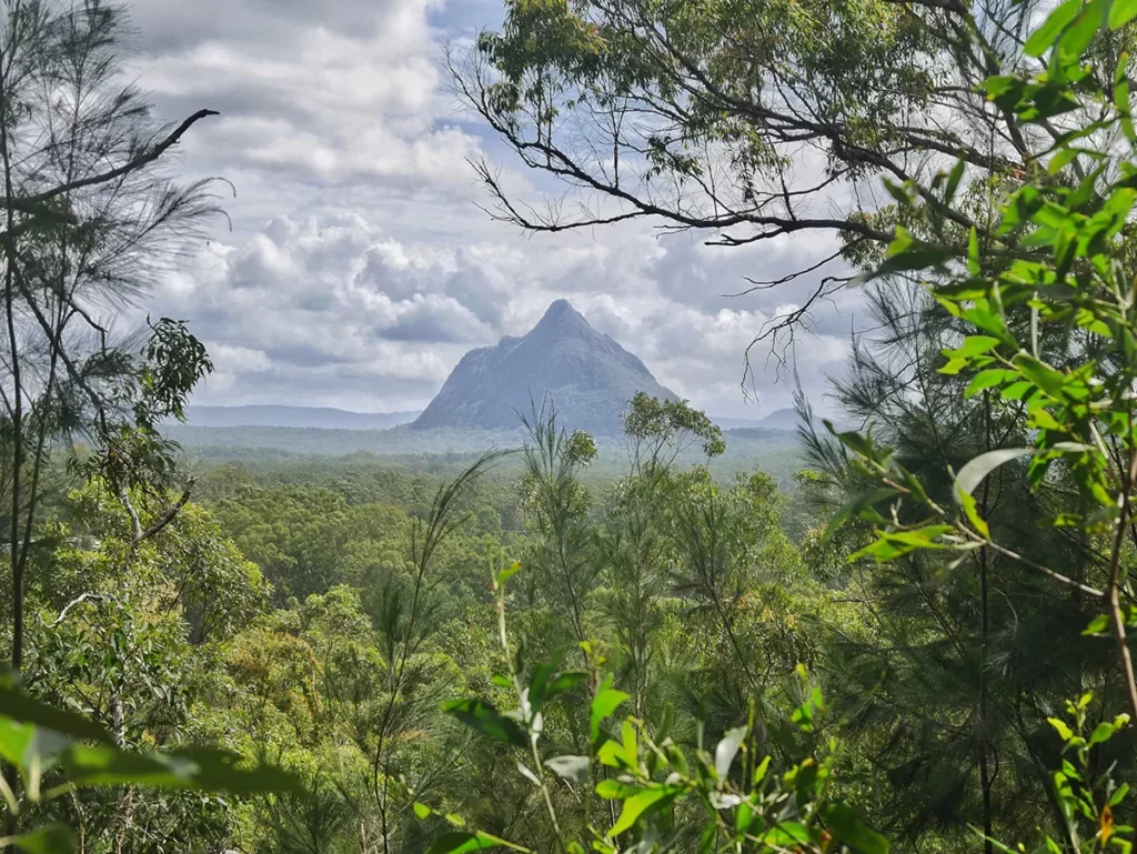 Mount Beerwah (556 metres high)
