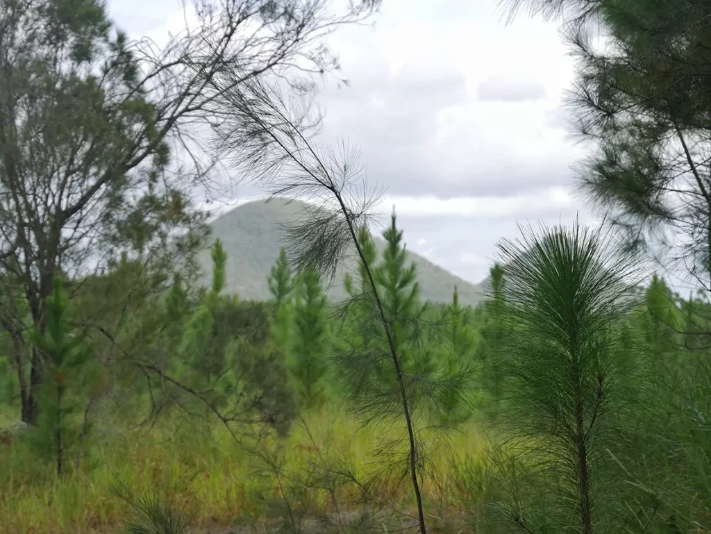 Mount Tibrogargan - Glass House Mountains