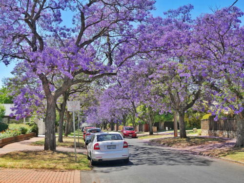 Renting a car in Australia