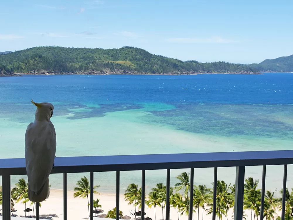 Hamilton Island