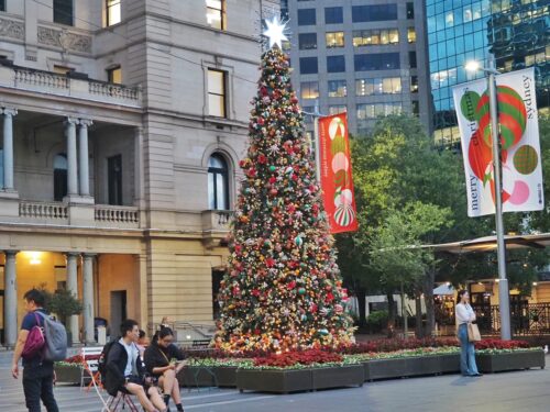 Christmas in Sydney