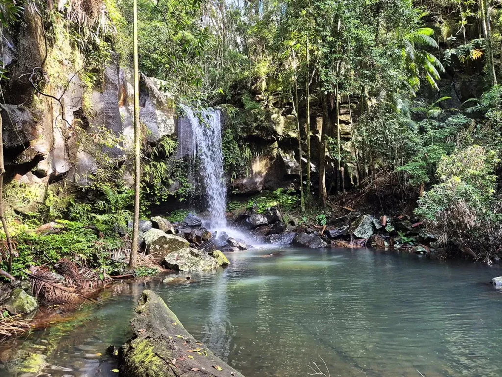 Curtis Falls