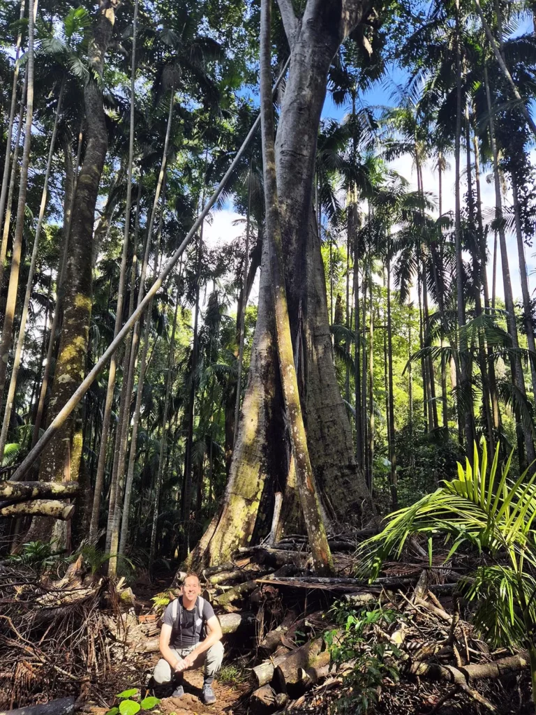 Tamborine National park