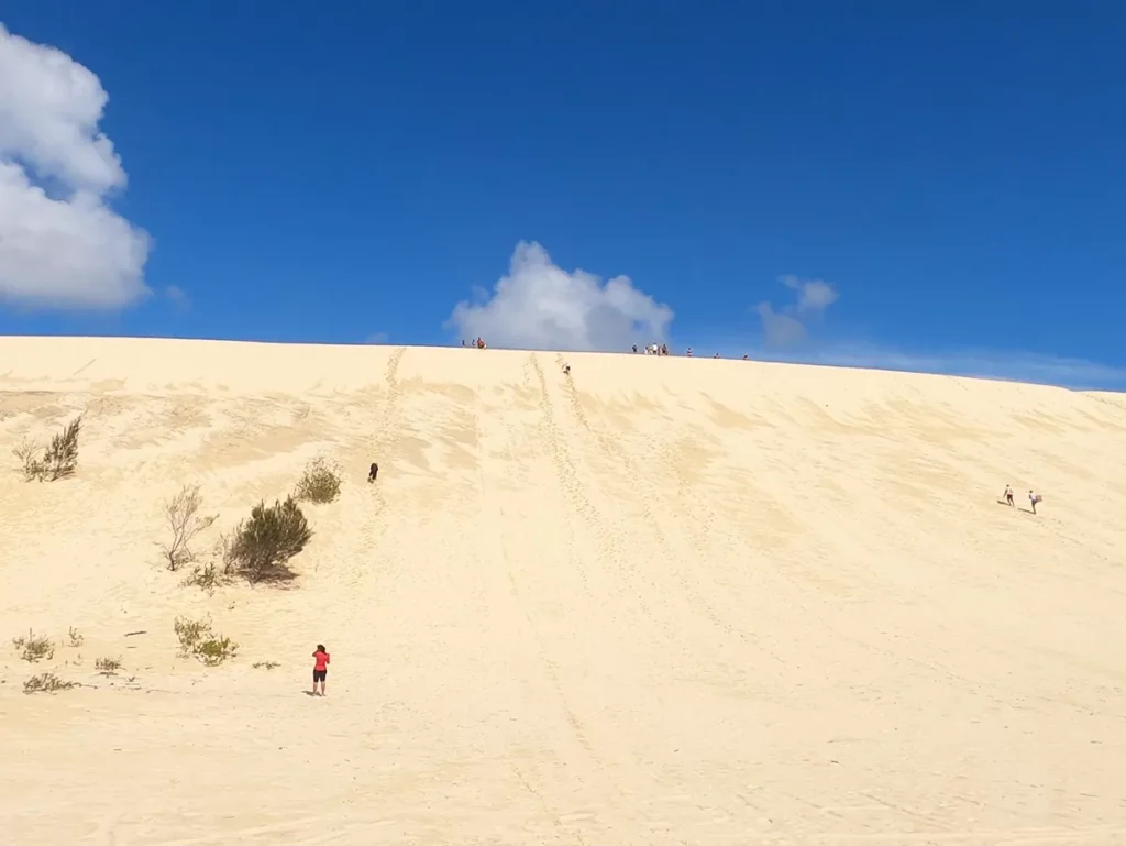 Sandboarding
