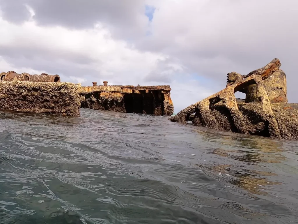 Tangalooma Wrecks