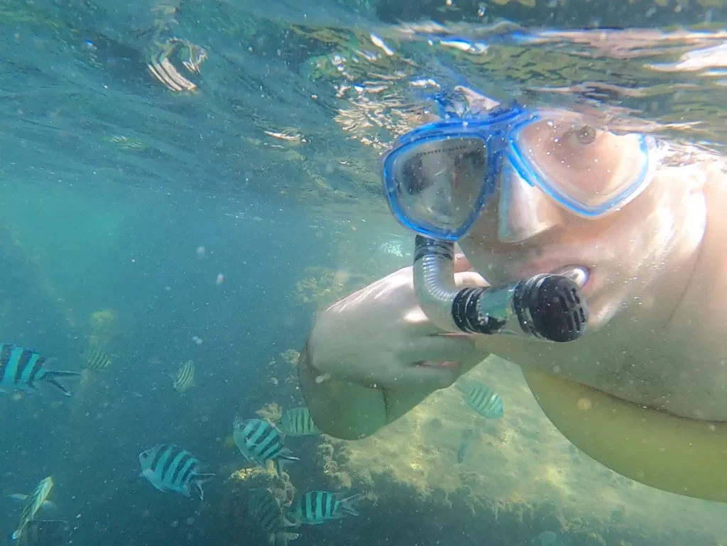 Snorkeling at Tangalooma Wrecks - Moreton Island