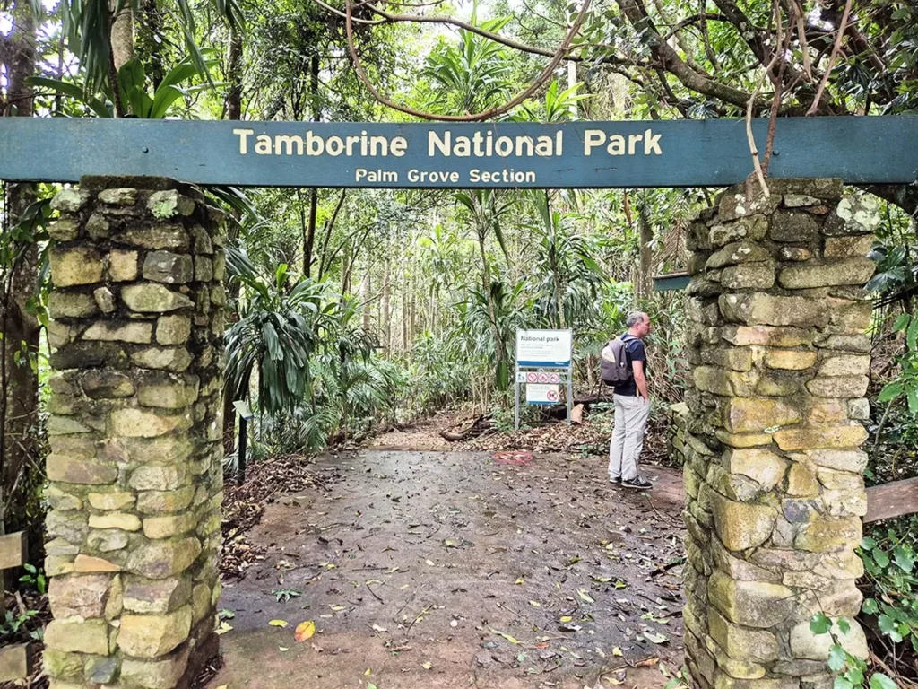 Tamborine National park - Palm Grove Circuit