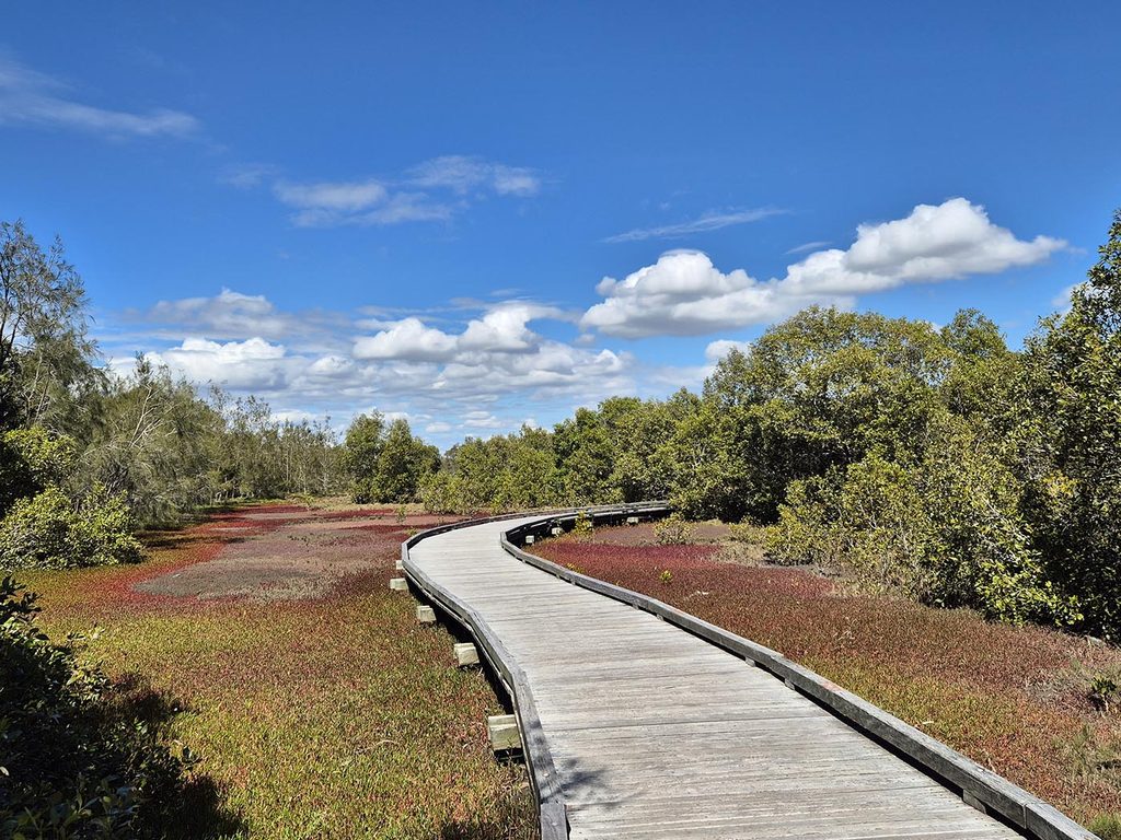 Boondall Wetlands
