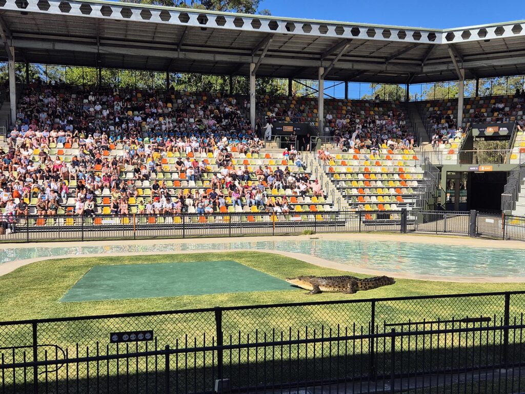 Crocoseum