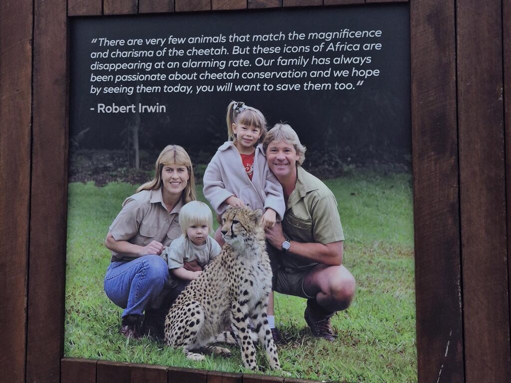 The Irwins